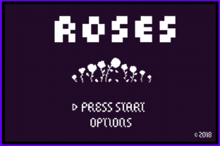 Rediscovering the Pixel: The Timeless Appeal of 8 Bit Roses